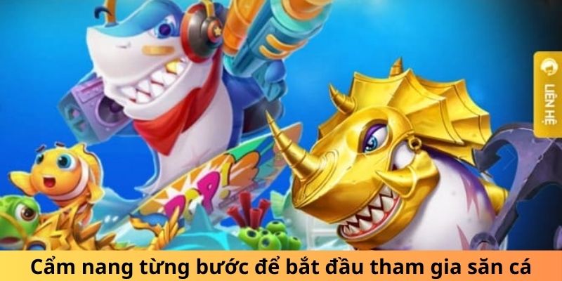 Cẩm nang từng bước để bắt đầu tham gia săn cá